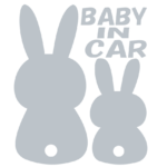 babyincar_silver