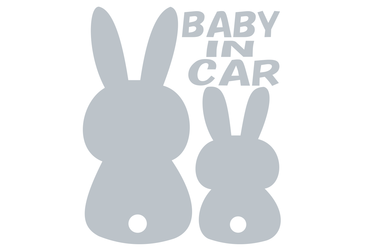 babyincar_silver